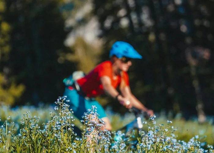 Benoit - Modern 8 Pax Free Parking Mountain View - By Cozee