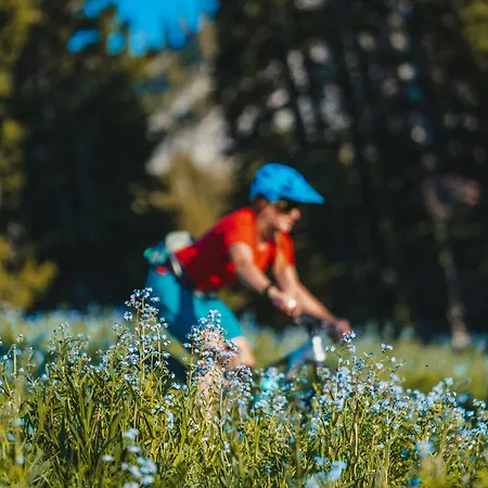 Benoit - Modern 8 Pax Free Parking Mountain View - By Cozee